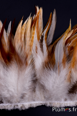 Frange coq - long. plumes 10-15 cm - crème marron naturel